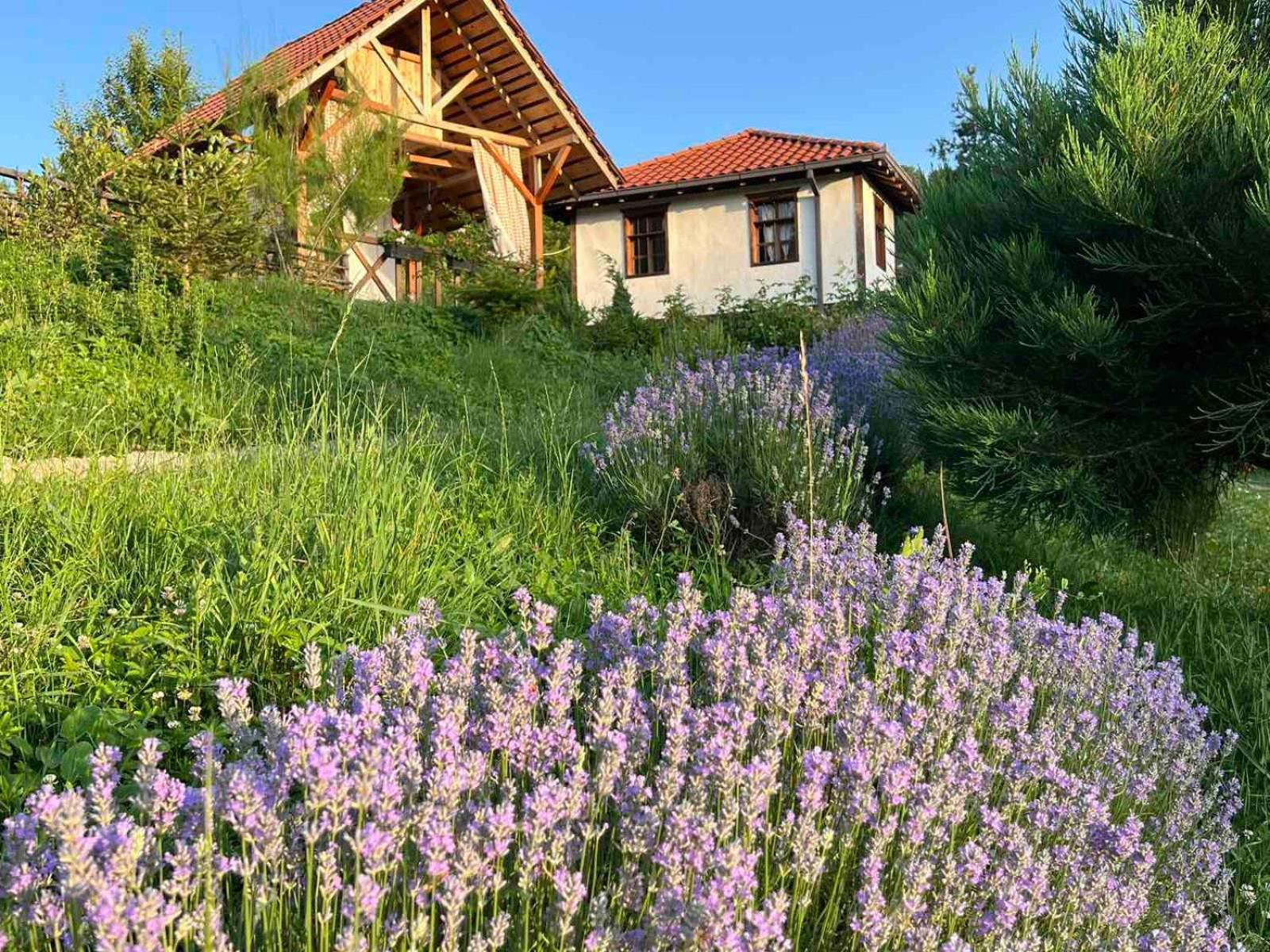 Traditional Cottage - Vila Samovila Delcevo Eksteriør billede